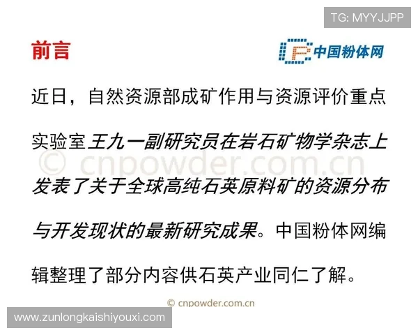 尊龙集团(Z6)在新能源产业的布局与未来发展潜力分析