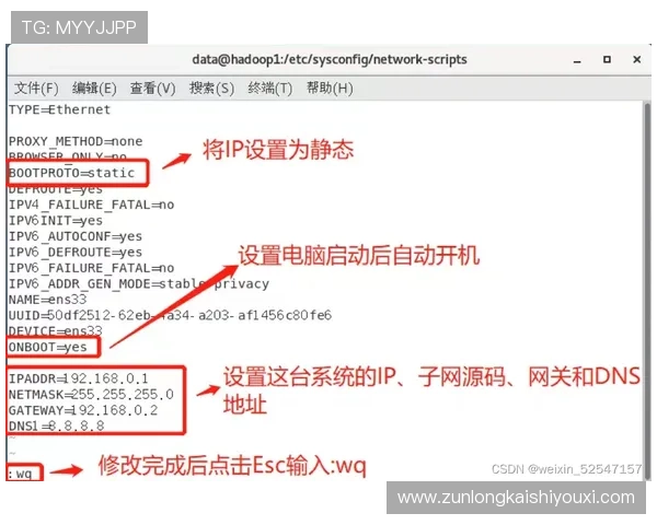 d88官网会员登录遇到问题怎么办？详细解决方案与常见问题解答