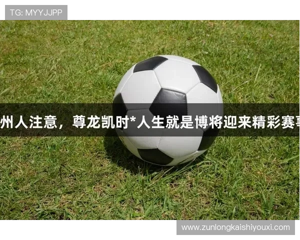 尊龙人生就是博：借助游戏中的人生体验提升自我认知与决策能力